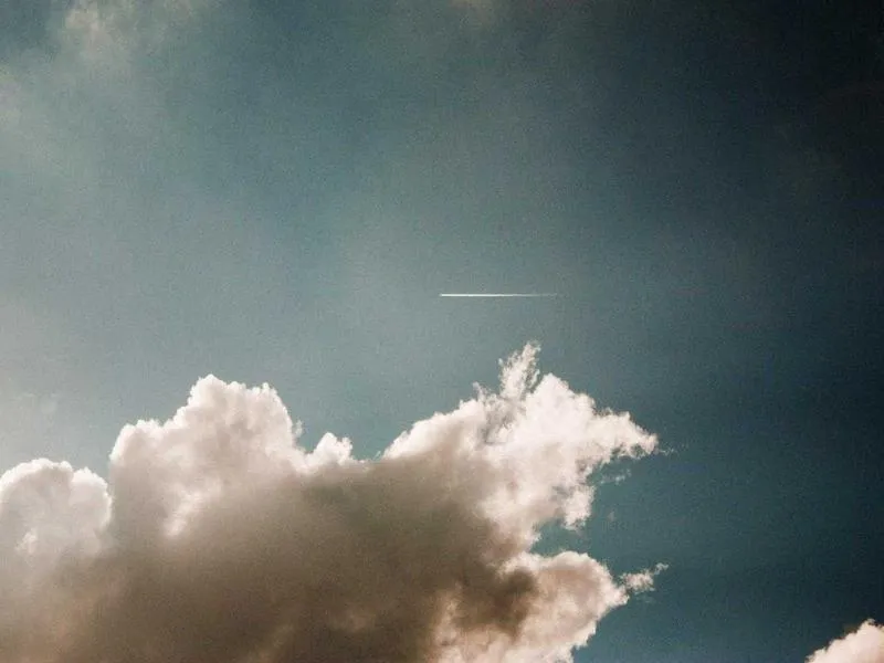 Kinerja Deputi Bidang Karantina Ikan Mencatat Prestasi Signifikan