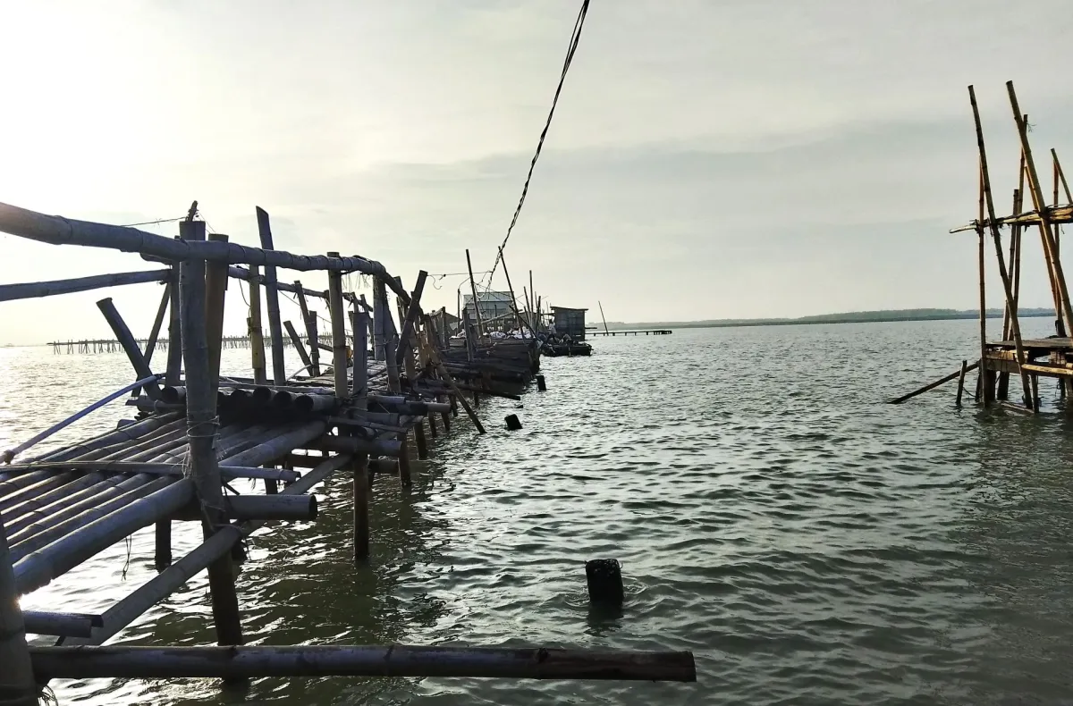 Dampak Pembangunan Infrastruktur Terhadap Migrasi Iklim di Pesisir Demak