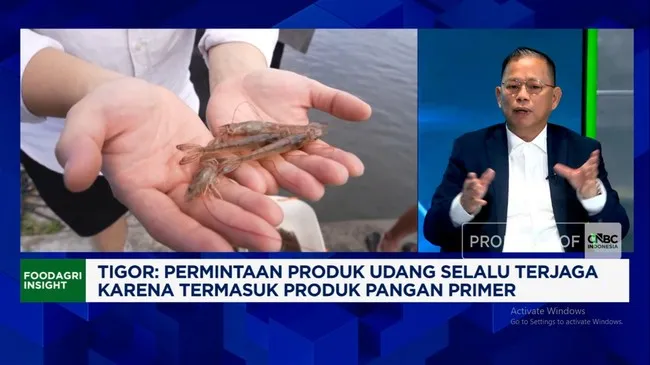 Ekspor Udang RI Targetkan Pasar Jepang dan Eropa
