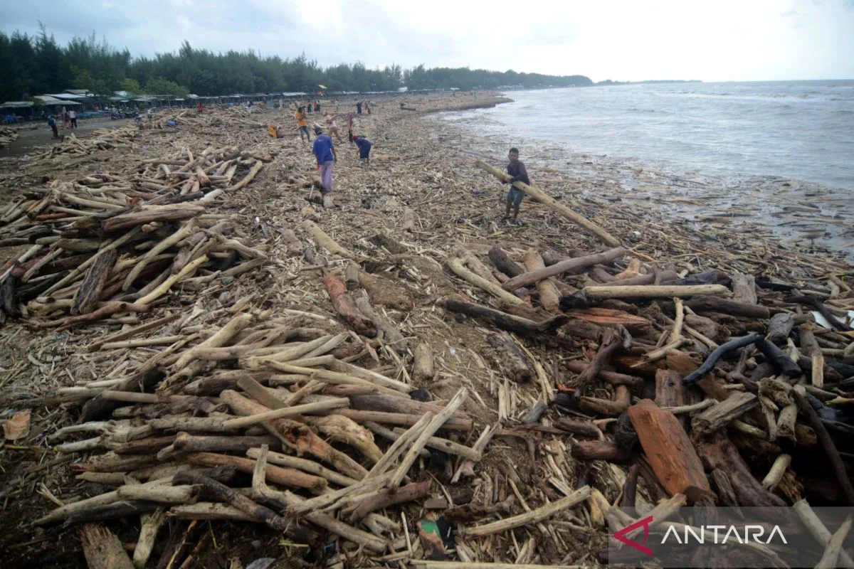 Pemerintah Siapkan Investigasi Penebangan Hutan Usai Banjir di Guci Tegal