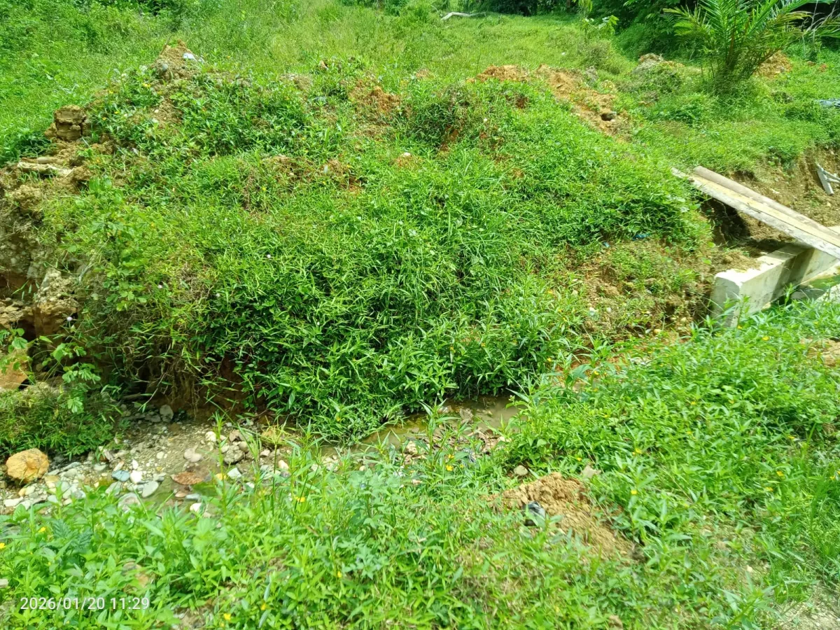Pekerjaan Drainase di Tabir Diduga Tidak Sesuai RAB dan Tidak Tuntas