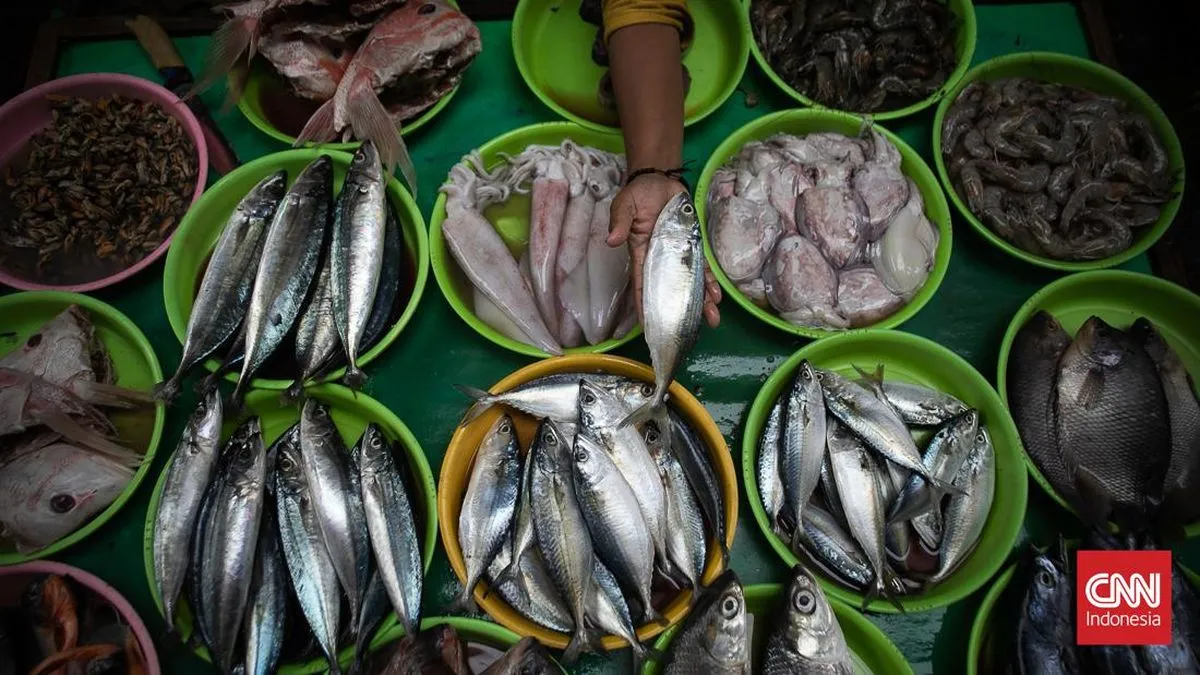 KKP: Kenaikan Harga Ikan Jelang Ramadan Dipicu Permintaan, Bukan MBG
