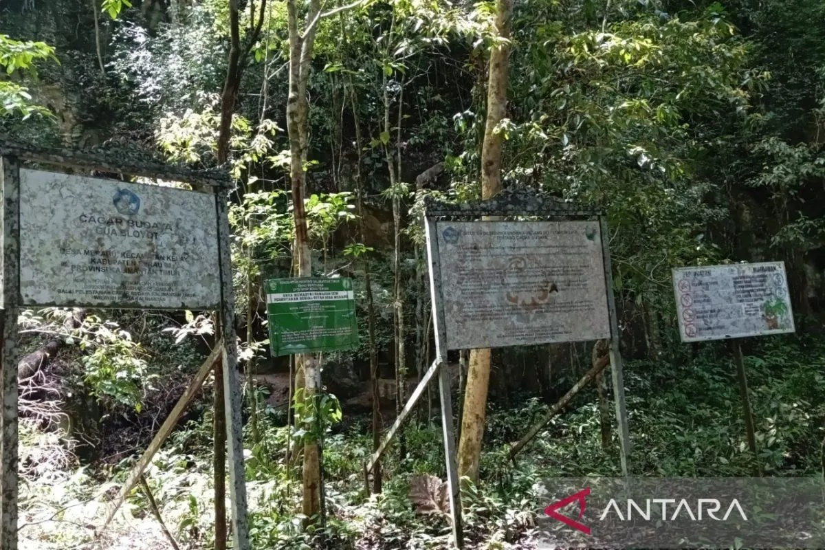 DPMK Berau Dorong Desa Jaga Hutan untuk Raih Dana Karbon