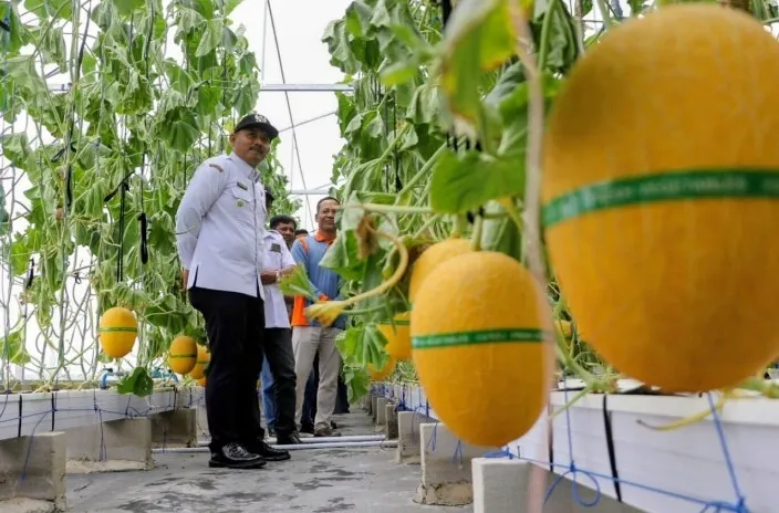 Bupati Ngawi Resmikan Wisata Petik Melon untuk Tingkatkan Ekonomi Desa