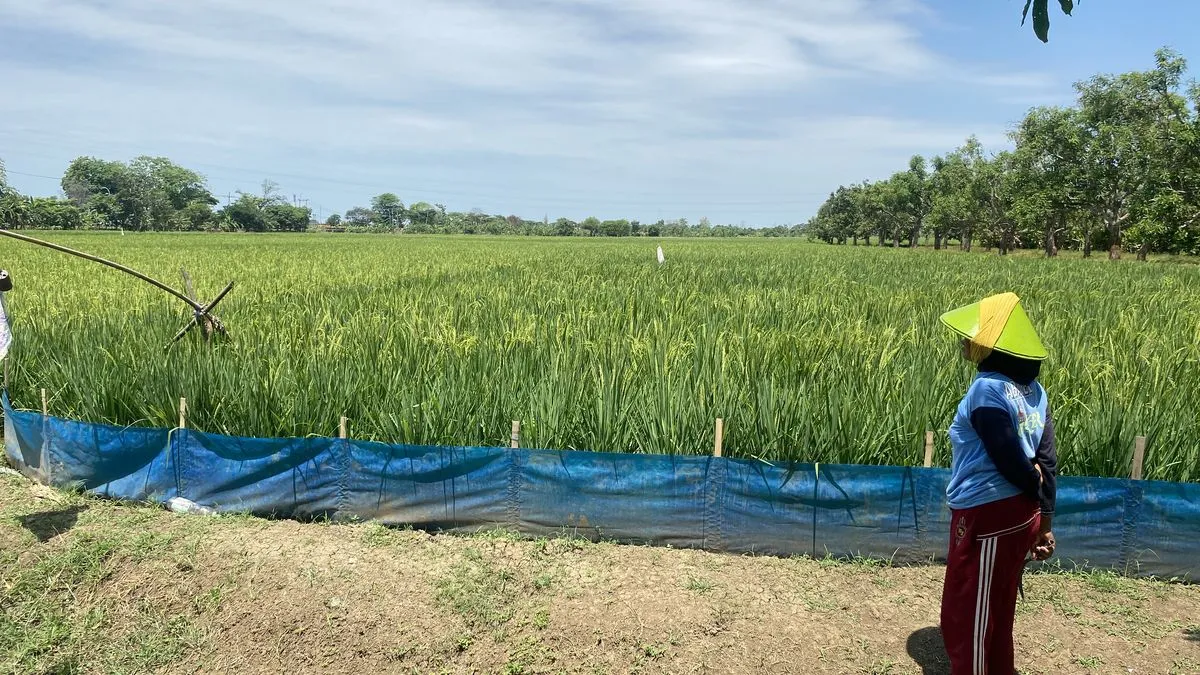 Konflik Agraria: 3.406 Desa Pertanian Terancam Klaim Hutan Negara