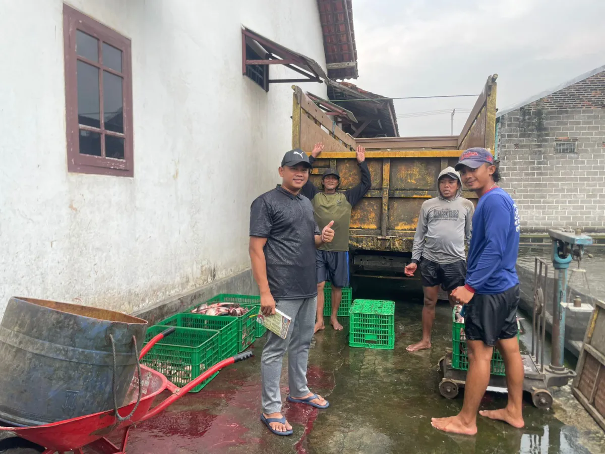 Ketahanan Pangan Indonesia Diuji di Tengah Ketegangan Global