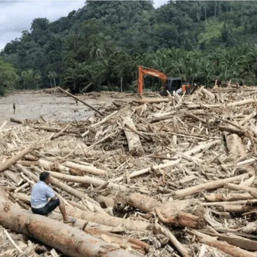 Banjir Sumatra 2025: Cuaca Ekstrem dan Mitigasi yang Tak Terduga