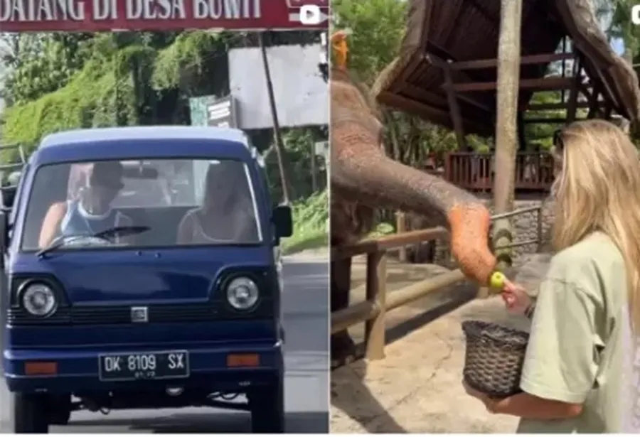 Bintang Film Dewasa dan 17 WNA Ditangkap Terkait Produksi Film Panas