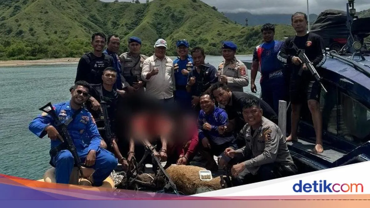 Tiga Pemburu Rusa Ditangkap di Taman Nasional Komodo, Lima Pelaku Lainnya Masih Buron