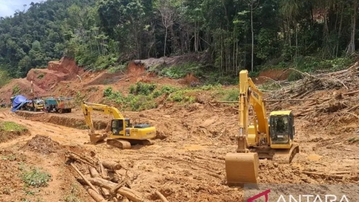 Jalan TransPapua Jayapura-Wamena: Kunci Perekonomian Papua Pegunungan