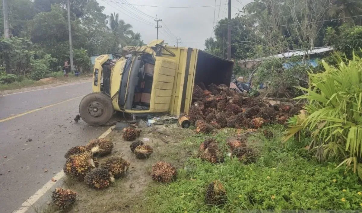 Pengemudi Truk Sawit Diharuskan Pasang Jaring Pengaman untuk Cegah Kecelakaan