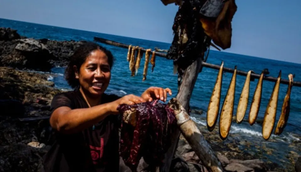 Menggali Peran Perempuan dan Tradisi Laut di Lamalera, NTT