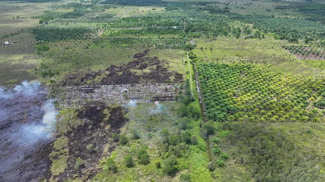 Kebakaran Lahan di Ujung Pandaran, Hotspot di Kotim Meningkat