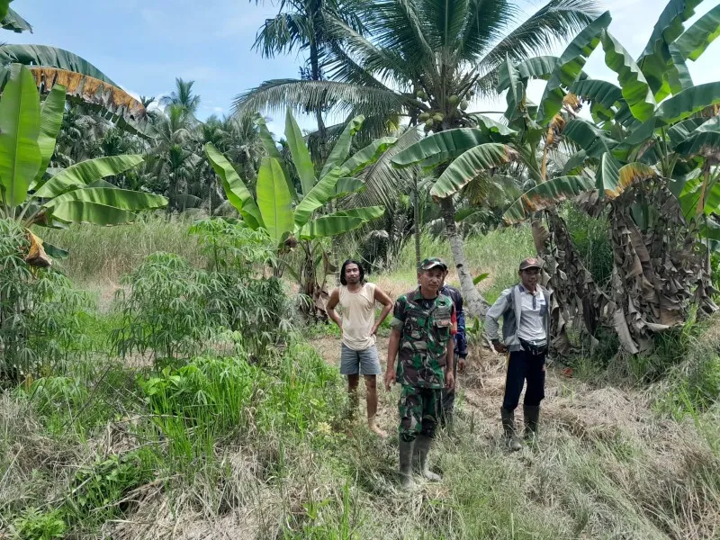 Patroli Tapal Batas TNI: Upaya Jaga Lingkungan dan Keamanan Masyarakat