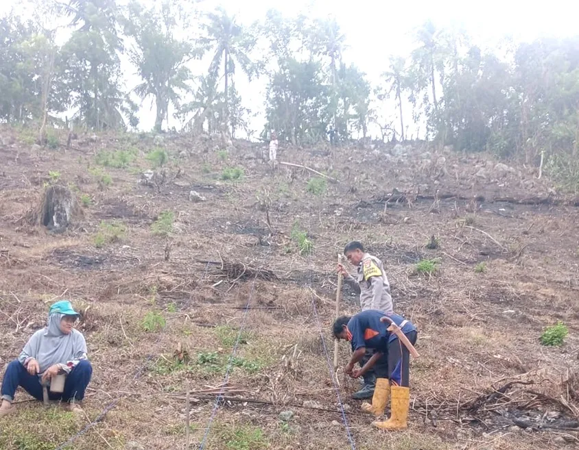Polsubsektor Tubo Sendana Dukung Ketahanan Pangan Lewat Penanaman Jagung Bersama Petani