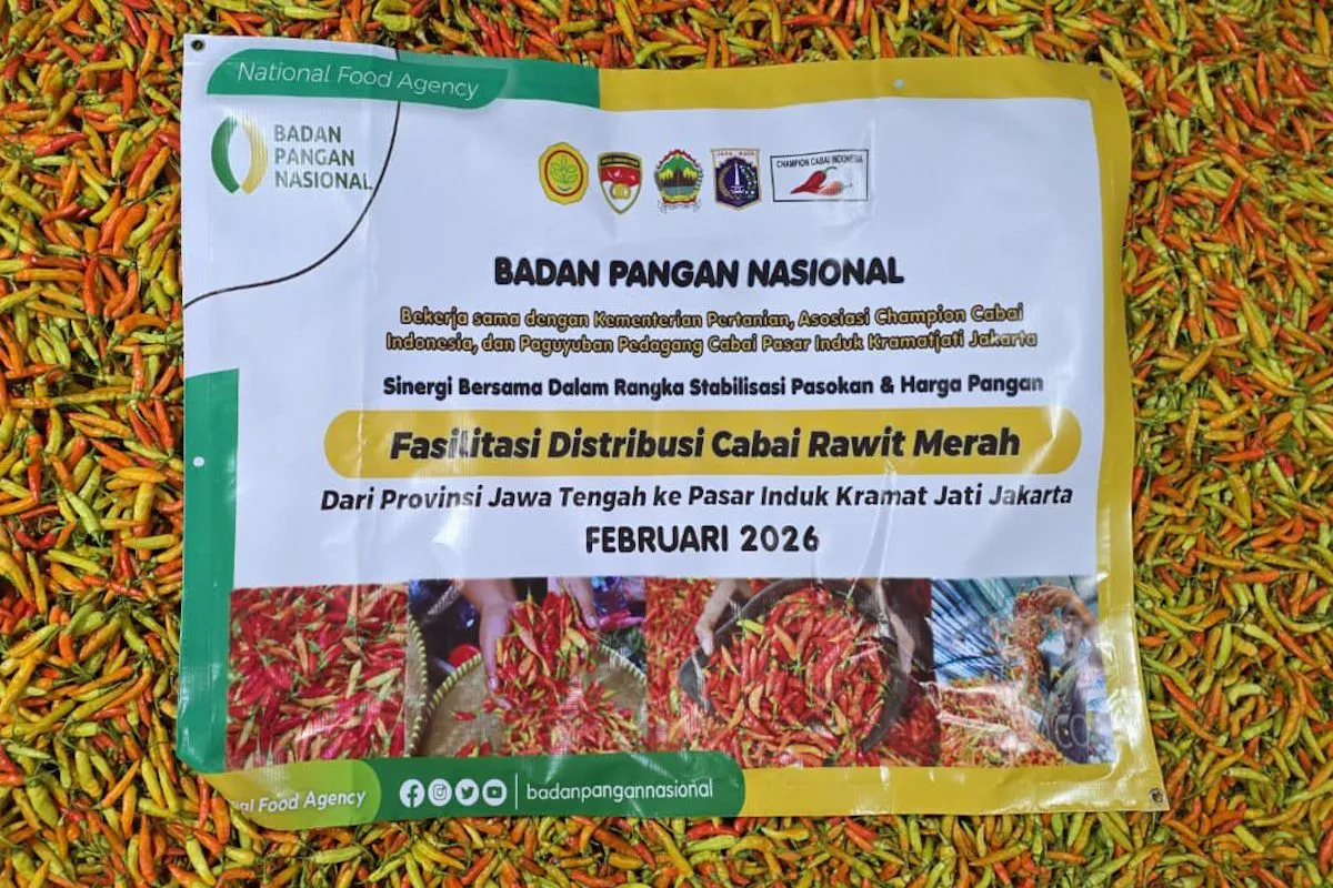 Kementan Tingkatkan Pasokan Cabai untuk Stabilkan Harga di PIKJ