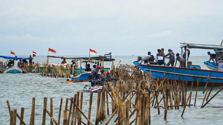 Pembongkaran Pagar Laut Ilegal di Perairan Tangerang oleh TNI AL
