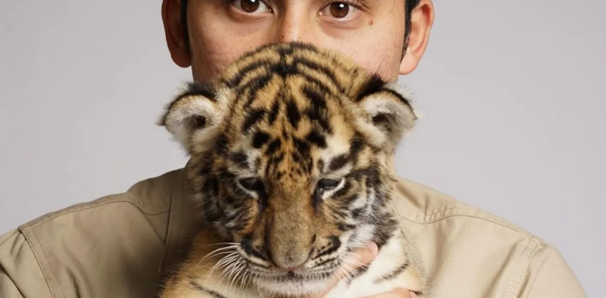 Kontroversi Kematian Anak Harimau Alshad Ahmad dan Konservasi Satwa Liar
