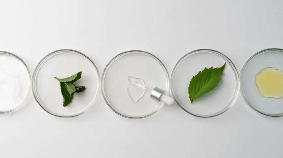 Kolaborasi Riset dan Bisnis Kunci Pengembangan Kosmetik Lokal Berbasis Biodiversitas