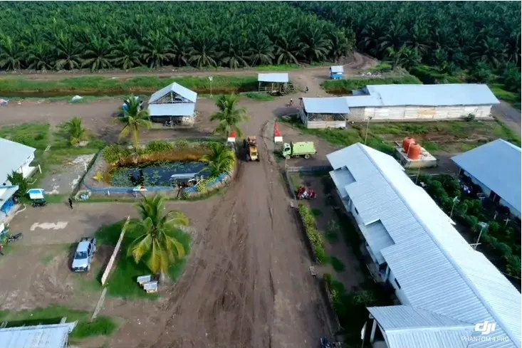 PT Sriwijaya Palm Oil Group Mengumumkan Lowongan Kerja di Sektor Agribisnis di Sumatera Selatan