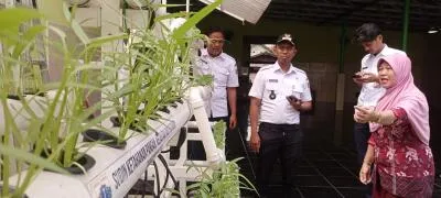 Kader PKK Jelambar Kembangkan Urban Farming untuk Ketahanan Pangan