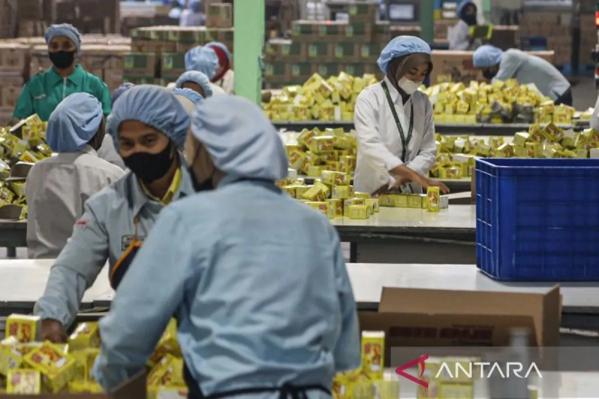 Penurunan Pengangguran di Indonesia: Tantangan Kualitas dan Upah Pekerjaan