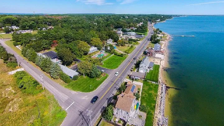 Hamptons Diduga Jadi Sumber Penyebaran Penyakit Lyme di Kalangan Selebriti