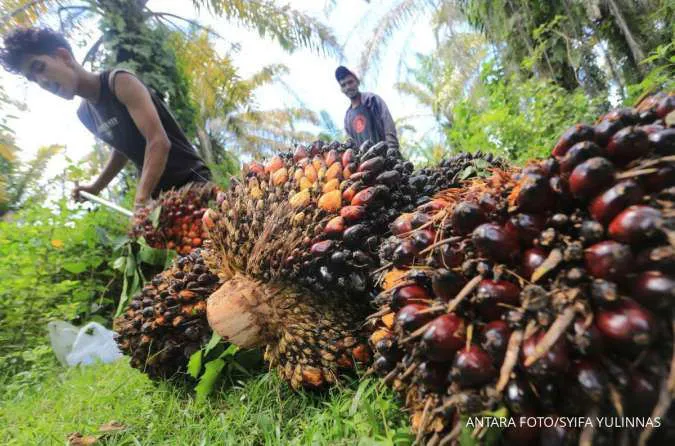 TPOMI Dorong Inovasi dan Pengembangan SDM di Sektor Pengolahan Sawit