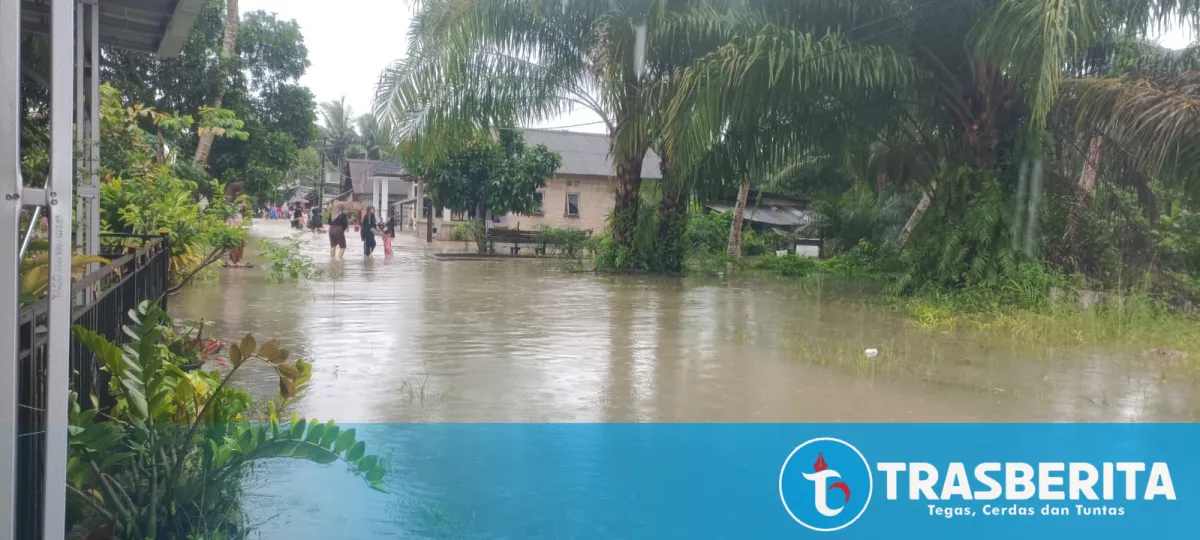 Upaya Mengatasi Banjir Rob di Desa Belo Laut, Bangka Barat