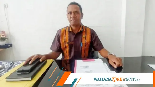 Pemkab Ngada Usulkan 579 Formasi PPPK Paruh Waktu untuk 2025