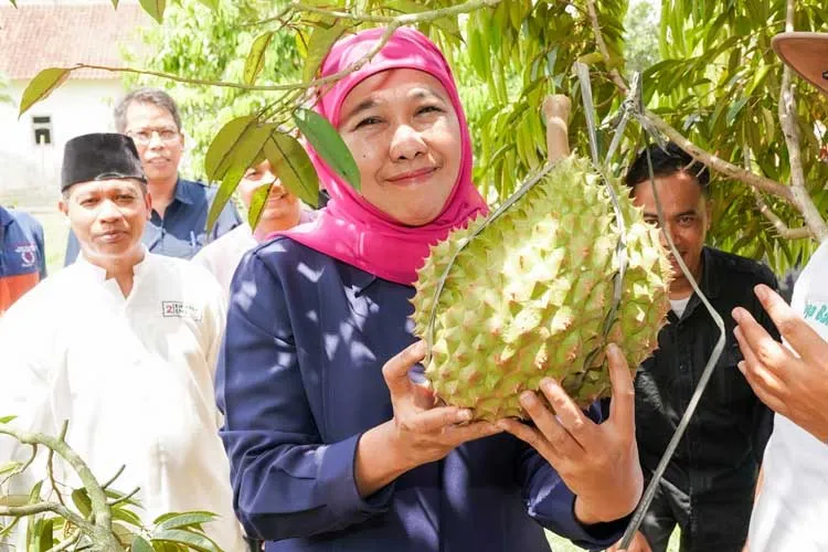 Jawa Timur Siap Ekspor Durian Unggulan ke Pasar Global