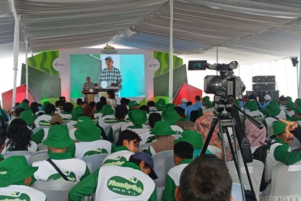 Petrokimia Gresik Tingkatkan Produktivitas Semangka di Tapal Kuda melalui Lomba