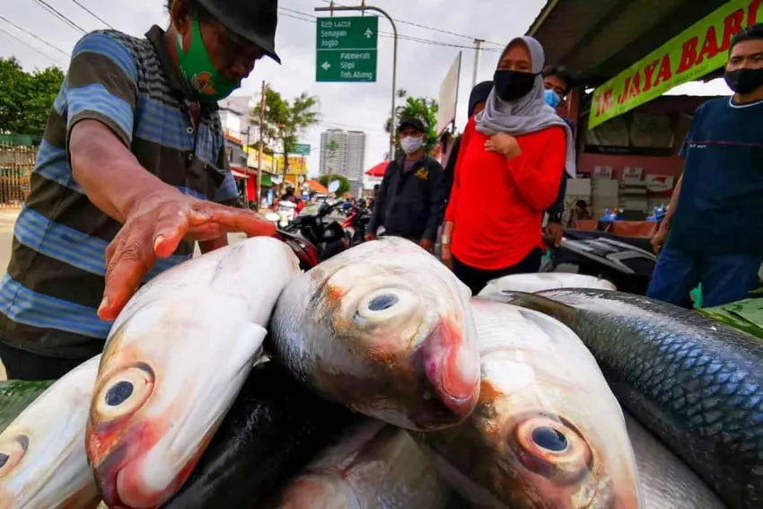 KKP Tegaskan Program MBG Tidak Pengaruhi Harga Ikan