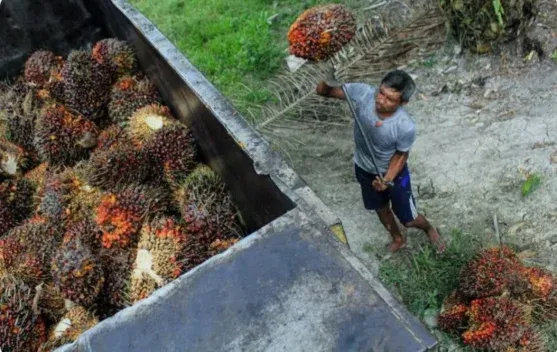 Hari Pekerja 2026: Buruh Belitung Desak Kesejahteraan dan Perlindungan Sosial