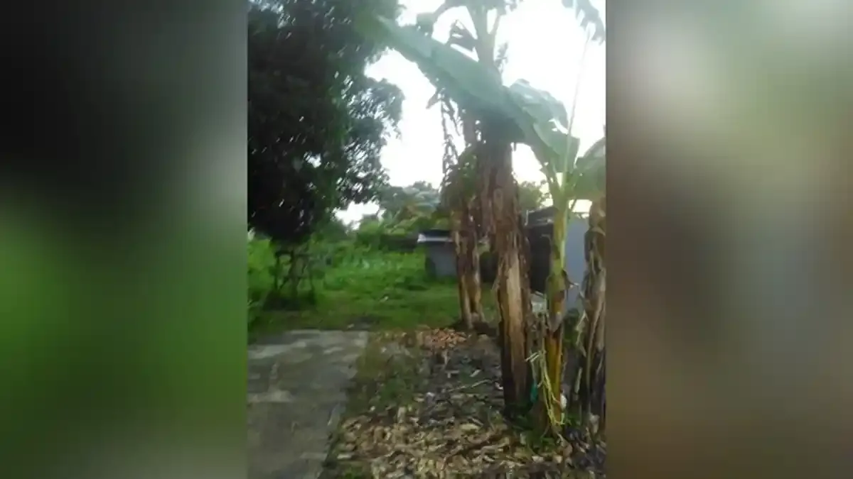 Pengalaman Mistis di Rumah Acil: Sosok Penunggu dan Suara Ketukan di Malam Hari