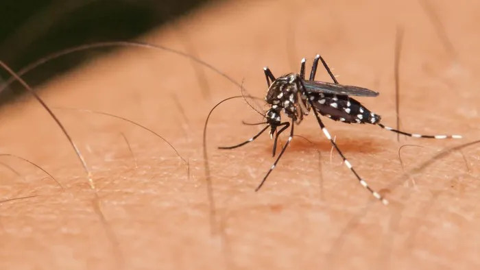 Pemantauan Aktif Vaksinasi Dengue Diterapkan di Palembang untuk Antisipasi Puncak Kasus DBD