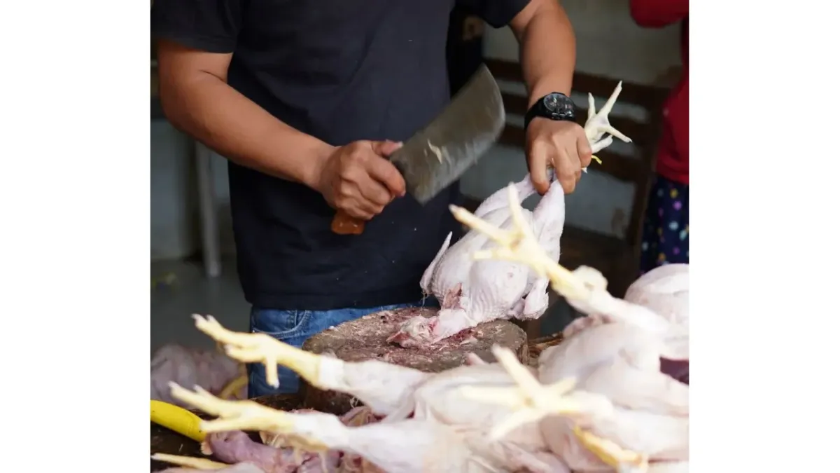 Kenaikan Harga Pangan di Batam Jelang Ramadan 2026: Ayam dan Cabai Tertekan