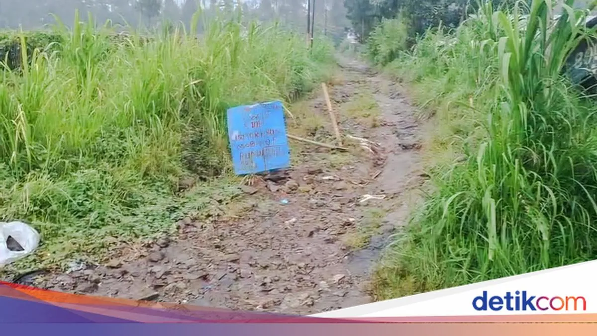 Hentikan Offroading Ilegal, Safari Hutan Lembang Ditutup untuk Restorasi
