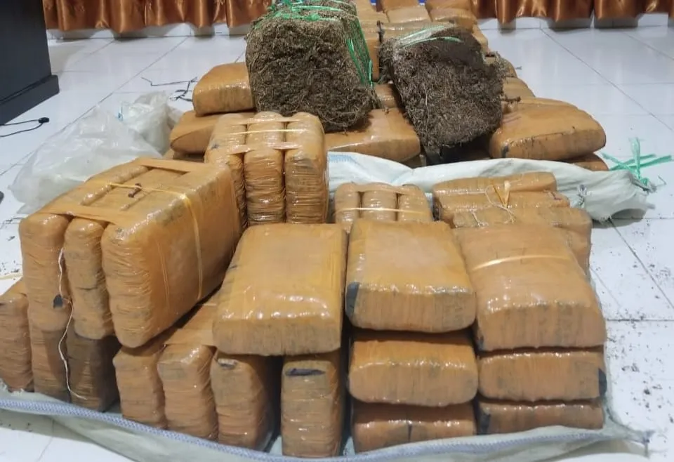 Pengadilan Negeri Medan Mengadili Terdakwa Kurir Ganja 135 Kg Asal Aceh