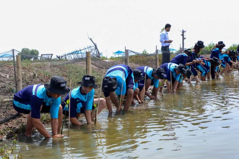 BRI Dorong Generasi Muda Jaga Lingkungan Melalui Penanaman Mangrove
