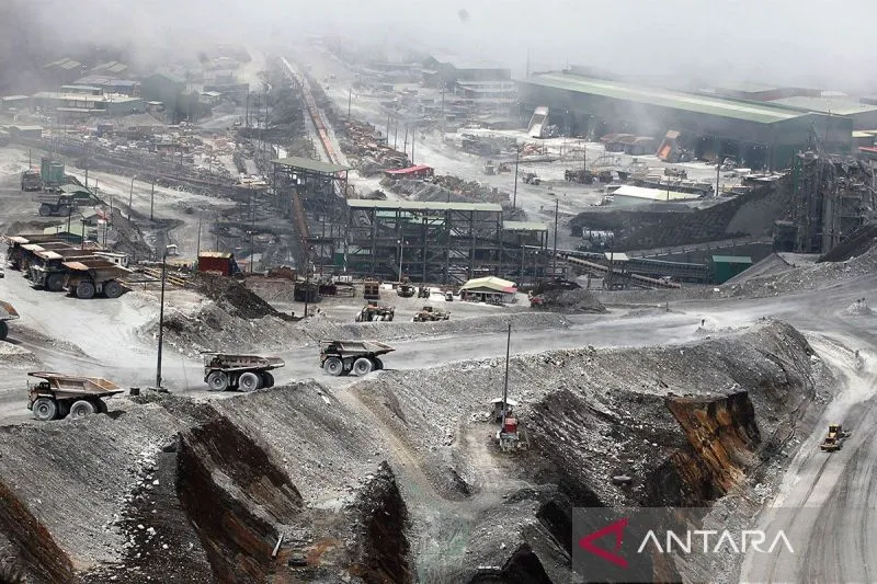 Freeport Investasi 20 Miliar Dolar AS untuk Perpanjangan IUPK di Papua
