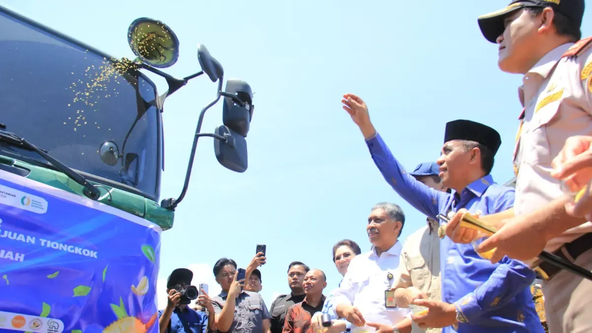 Durian Volcano Masuk Pasar Tiongkok, Parigi Moutong Jadi Pusat Produksi