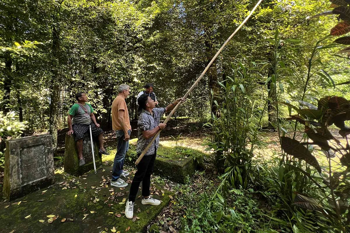 Petani Pala Siau Terjebak Dalam Praktik Gadai Tradisional
