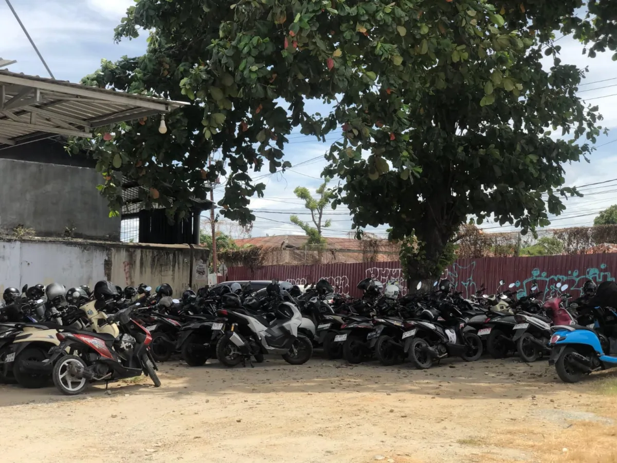 Dishub Palu Tegaskan UMKM Wajib Sediakan Parkir Sebelum Beroperasi