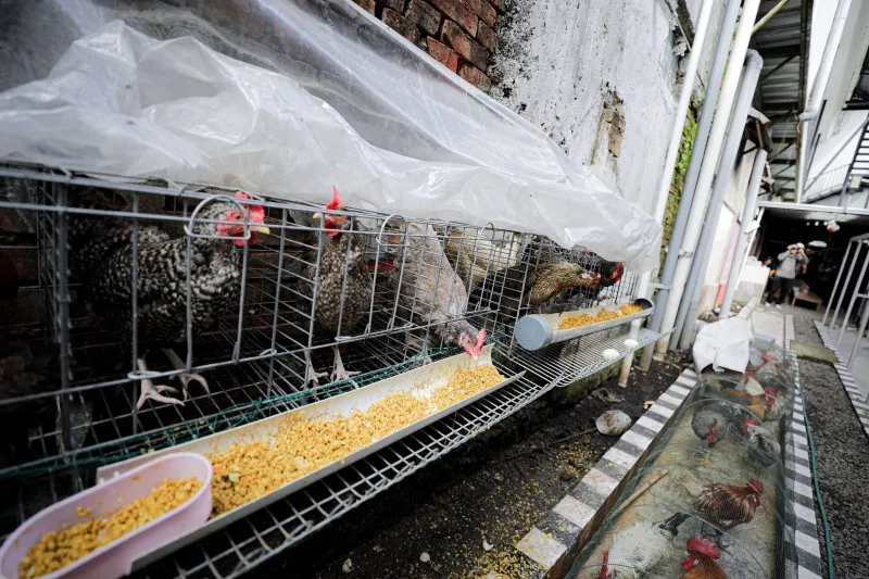 Kepatuhan Pajak Restoran Dorong Peningkatan Pendapatan Daerah Bandung