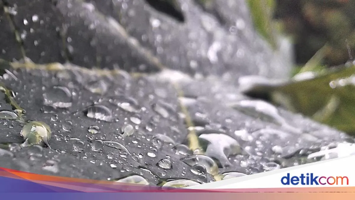 Inovasi Energi: Listrik dari Tetesan Hujan