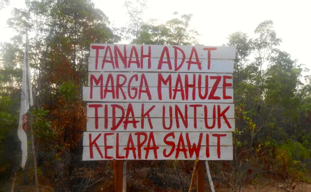Ekspansi Perkebunan Sawit Ancam Kehidupan Masyarakat Adat di Papua