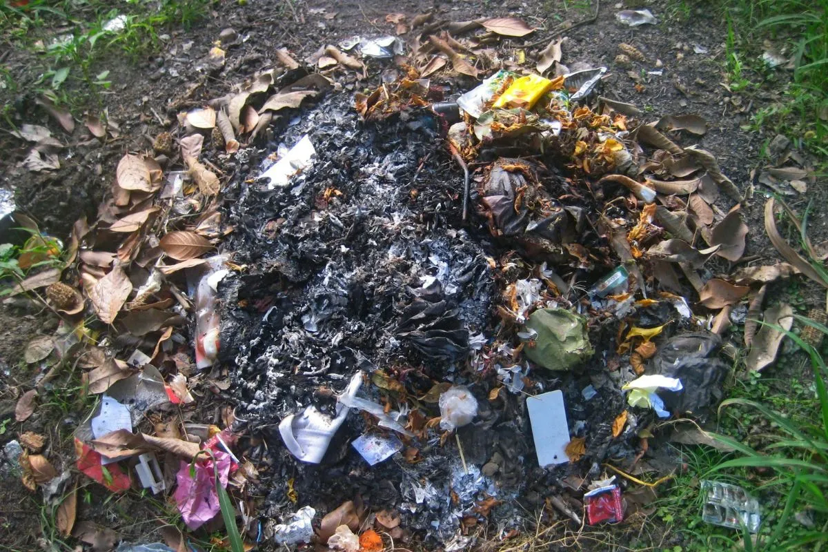Dampak Negatif Bakar Sampah: Tantangan Kehidupan Bertetangga