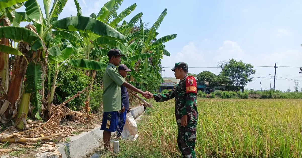 Koptu Khoirul Ajak Petani Sumbergondang Tingkatkan Semangat Pertanian