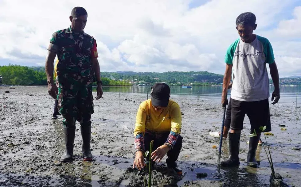 BKKBN Maluku dan TNI Tanam Mangrove untuk Lindungi Pantai Negeri Lama
